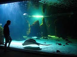 Lanzarote aquarium